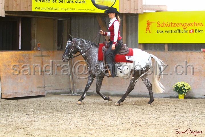 31-ApHC OWP_021.jpg